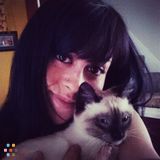 In Need Of A Pet Sitter ?