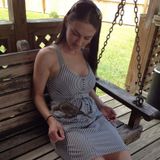 Interested In Pet Care Jobs Cats