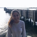 Seeking Venice Dog Sitting Opportunity! I love all pets!