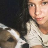 Kennel Services Offered in New Port Richey