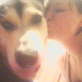 Houston Pet Sitting Professional Interested In Job Opportunities in Texas