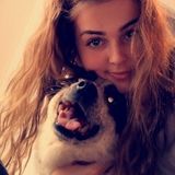 Dog Walking Offered in Elkhart