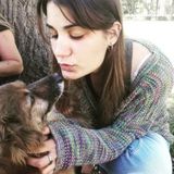 Knowledgeable Dog Walking Available Now!