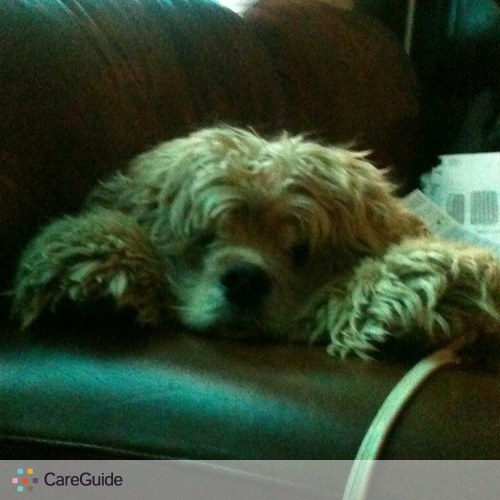 Pet Care Provider Jennifer M's Profile Picture