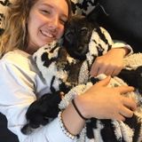 For Hire: Passionate Pet Sitter or Dog Walker in Loveland, Colorado