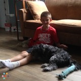 I would love to care for your dog!