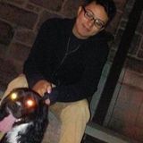 Careful House Sitting Provider in Cicero