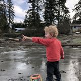 Part time nanny needed!