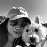 Trustworthy pet carer in the Las Vegas Valley