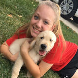 Searching for a pet sitting/walking oppurtunity in Amherst, Ohio