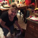 Pet sitter- keeping them comfortable in their own surrounding