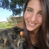 Interested In a Pet Service Provider Opportunity in Tarrant County area