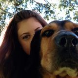 Need a pet sitter?