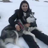 Santa Clara House and Pet Sitter Interested In Being Hired in California
