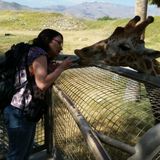 Dog, Cats, Snakes, Bunnies oh my!- Animal Lover-Care taker for furry and non-furry animals ;-)