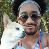 For Part Time: Fun and Caring Dog Sitter/Walker in Tukwila