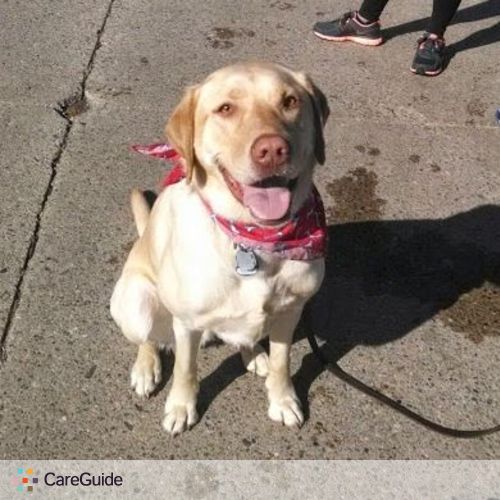 Pet Care Job Maria P's Profile Picture