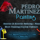 Professional house painter