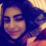 Available: Knowledgeable Dog Sitter in Burbank, California