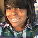 New Castle House Sitter Searching for Job Opportunities