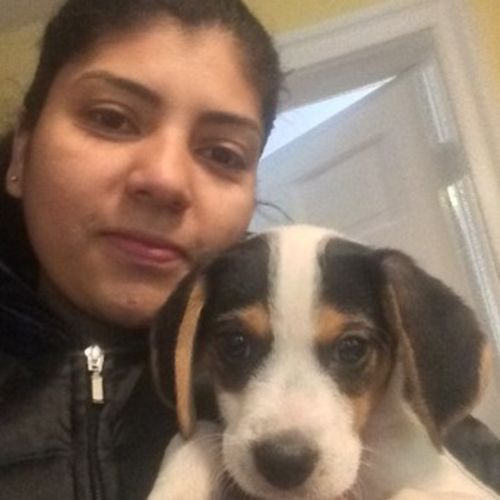Housekeeper Provider Claudia S's Profile Picture