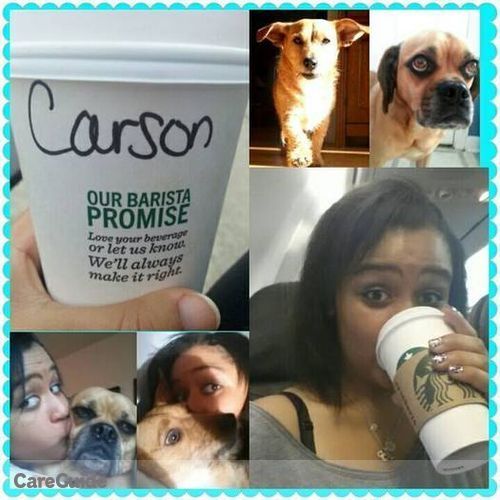 Pet Care Provider Carson S's Profile Picture