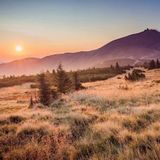 Employing a Caring Home Helper in Castle Rock, Colorado