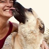 For Hire: Skilled Pet Sitter in Las Vegas, Nevada