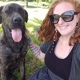 Dog Walking. Pet sitting Offered in Franklinville