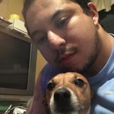 Skillful Dog Walker in Parsippany