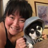 I adore dogs..I have a chihuahua, who is my baby. My husband knows my pup is my love...