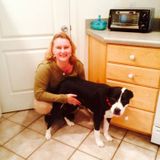 quality Petsitting services and behavior rehalitation. When quality matters, call Victoria for your Petsitting needs.