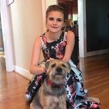 Flexible Pet Supervisor Available during the summer months (start May 4th)