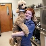 Auburn Pet Trainer Interested In Job Opportunities
