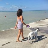 Leave your pets in safe hands!