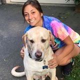 Johnstown Dog Walker Seeking Being Hired in Pennsylvania