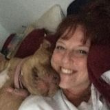 Loving pet sitter available immediately