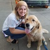 Mchenry Pet Care Provider Seeking Being Hired for part-time work.