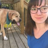 Qualified Coquitlam Babysitter for part-time work