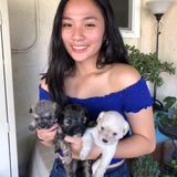 Pet Sitting Offered in Lakewood