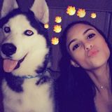 For Hire: Hard Working Dog Sitter in Kendall, Florida