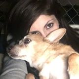 Reliable, Caring, and Experienced Sitter for your pets