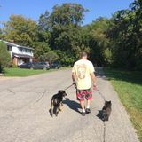 Dogs Best Friend