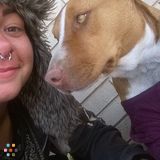 Experienced In Home Dogsitter Looking For Work
