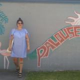 Skilled Friendly House & Pet Sitter
