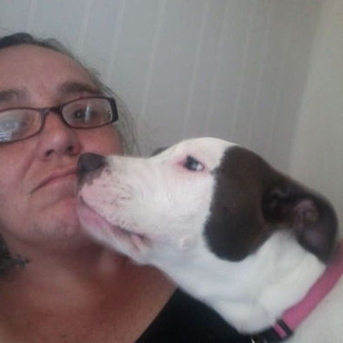 House Sitter Provider Amy J's Profile Picture