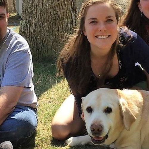 Pet Care Provider Brianna B's Profile Picture