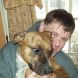 Hot Springs House and Petsitter Looking For Being Hired in Arkansas