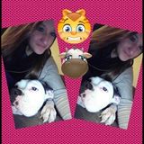 I am looking for a job caring for pets