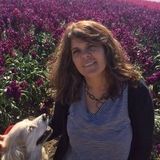 My name is Janice and I provide quality and reliable pet services sucha as dog walking, sitting and pet transportation.